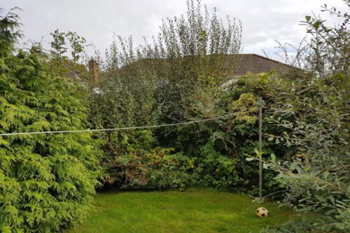 overgrown-garden-cheshire