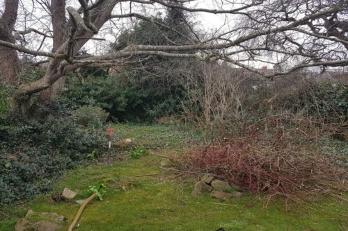 overgrown-garden-parkgate