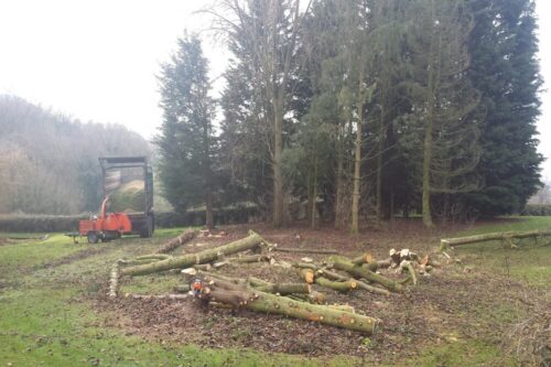 tree-clearance-cheshire